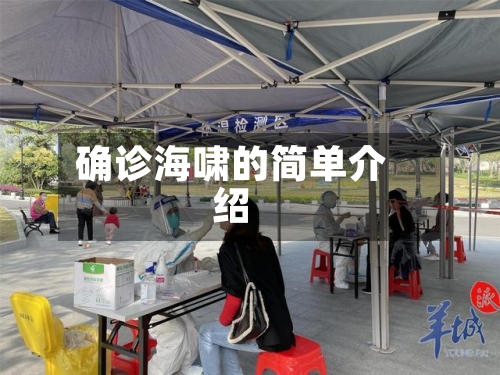 确诊海啸的简单介绍