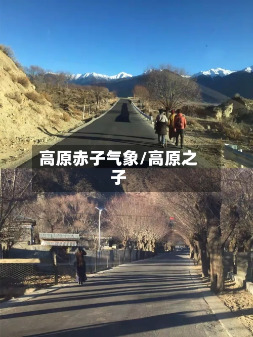 高原赤子气象/高原之子-第2张图片