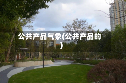 公共产品气象(公共产品的)