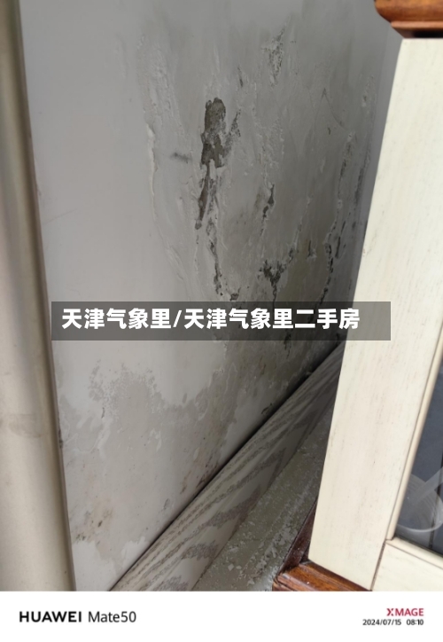 天津气象里/天津气象里二手房