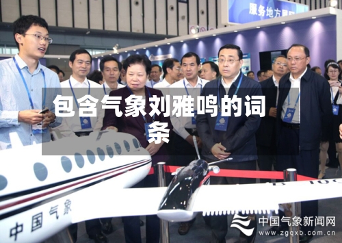 包含气象刘雅鸣的词条