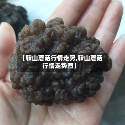 【鞍山蘑菇行情走势,鞍山蘑菇行情走势图】-第2张图片