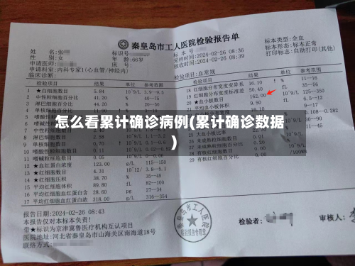 怎么看累计确诊病例(累计确诊数据)-第3张图片