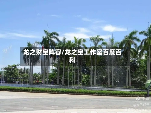 龙之财宝阵容/龙之宝工作室百度百科