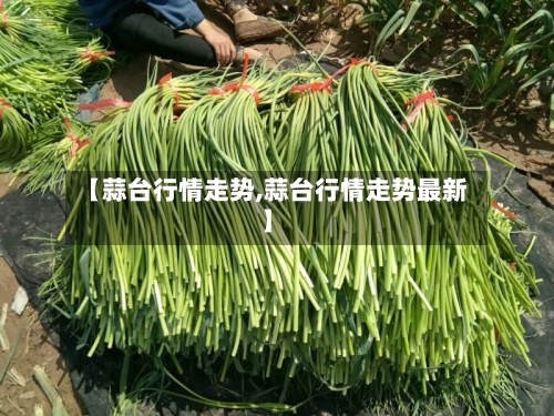 【蒜台行情走势,蒜台行情走势最新】