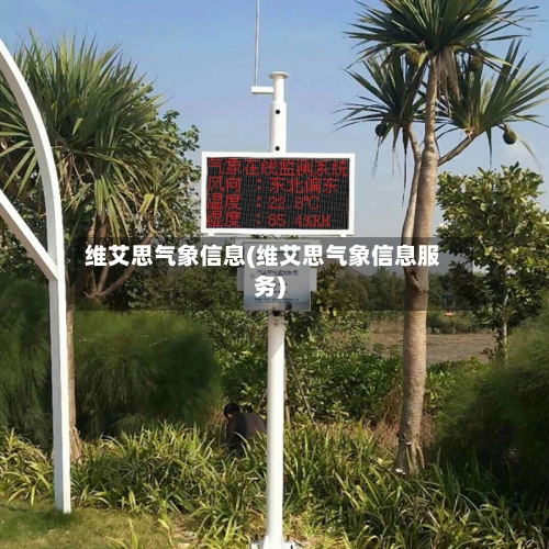 维艾思气象信息(维艾思气象信息服务)-第3张图片