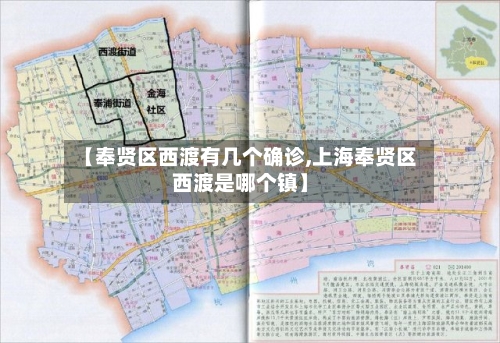 【奉贤区西渡有几个确诊,上海奉贤区西渡是哪个镇】-第2张图片