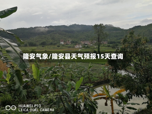 隆安气象/隆安县天气预报15天查询-第2张图片