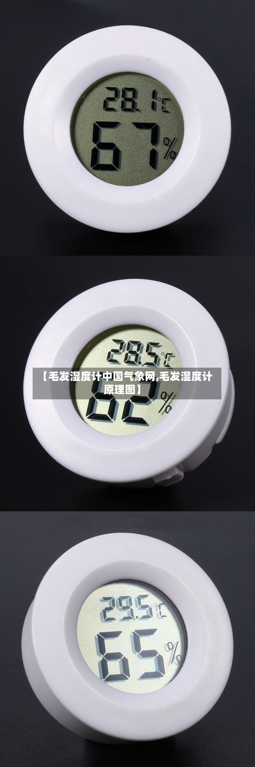 【毛发湿度计中国气象网,毛发湿度计原理图】