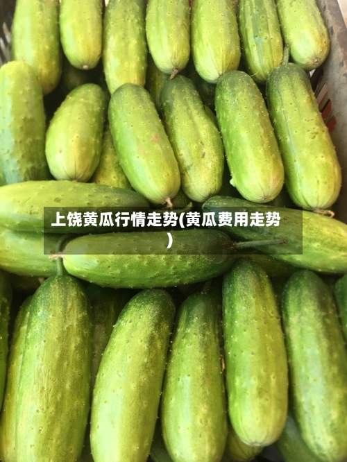 上饶黄瓜行情走势(黄瓜费用走势)