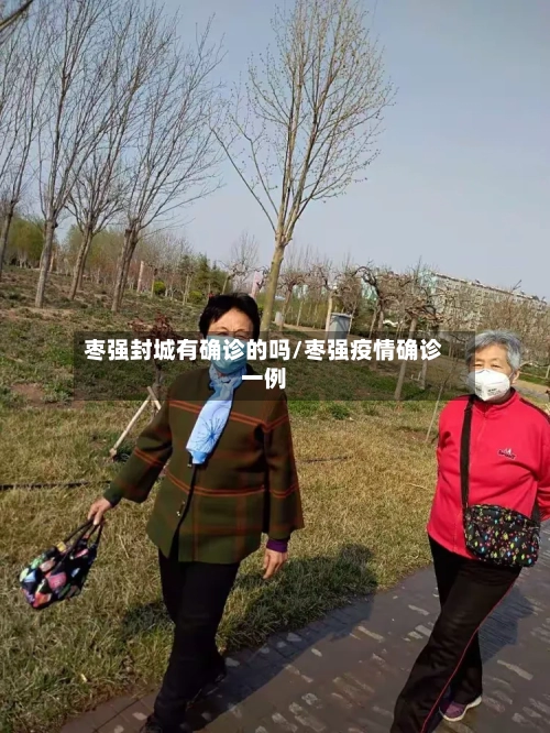 枣强封城有确诊的吗/枣强疫情确诊一例