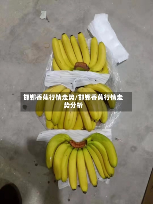 邯郸香蕉行情走势/邯郸香蕉行情走势分析-第2张图片