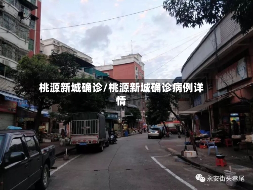 桃源新城确诊/桃源新城确诊病例详情