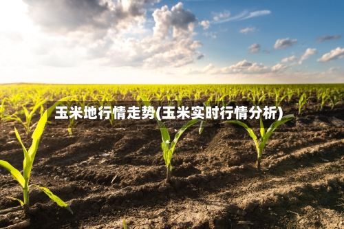 玉米地行情走势(玉米实时行情分析)-第3张图片
