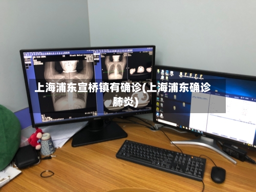 上海浦东宣桥镇有确诊(上海浦东确诊肺炎)