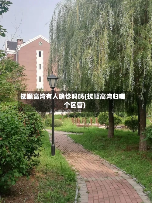 抚顺高湾有人确诊吗吗(抚顺高湾归哪个区管)