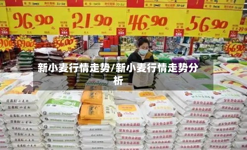 新小麦行情走势/新小麦行情走势分析