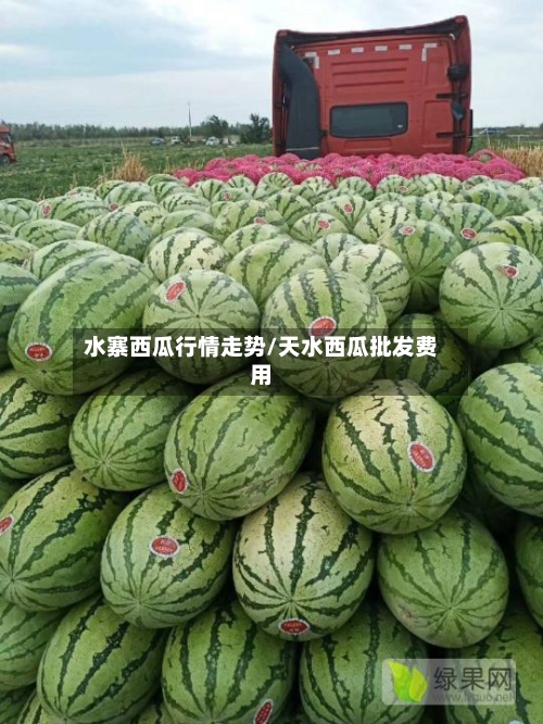 水寨西瓜行情走势/天水西瓜批发费用-第2张图片