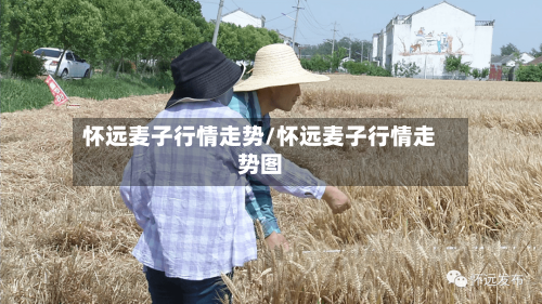 怀远麦子行情走势/怀远麦子行情走势图