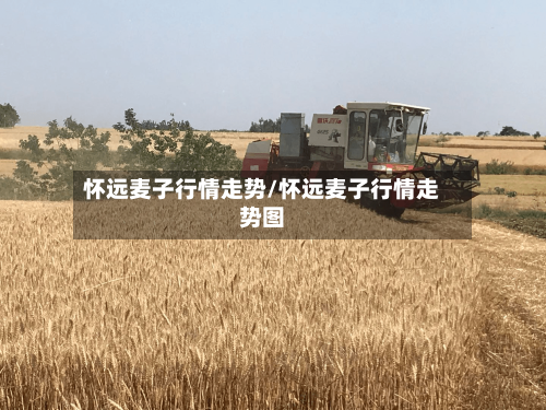 怀远麦子行情走势/怀远麦子行情走势图-第2张图片