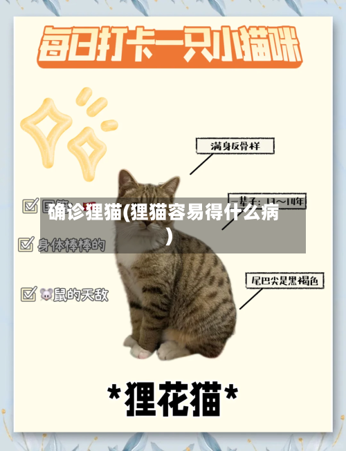 确诊狸猫(狸猫容易得什么病)
