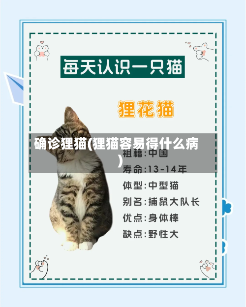 确诊狸猫(狸猫容易得什么病)-第2张图片