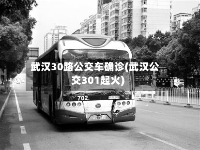 武汉30路公交车确诊(武汉公交301起火)-第2张图片