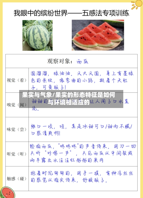 果实与气象/果实的形态特征是如何与环境相适应的-第3张图片