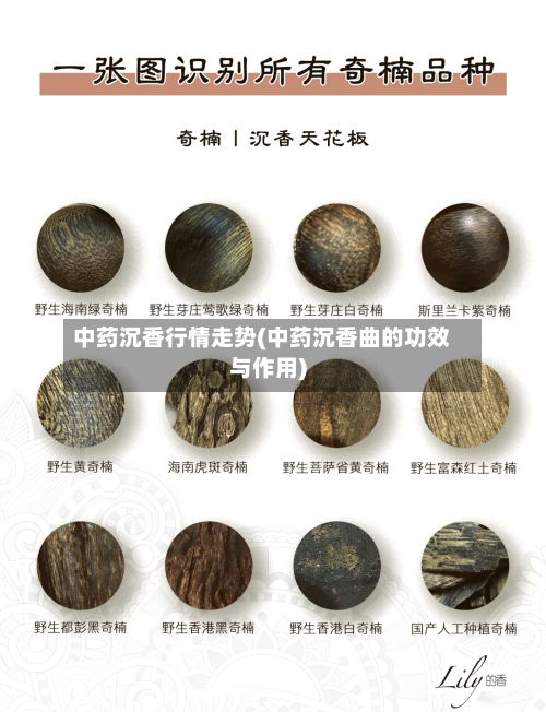 中药沉香行情走势(中药沉香曲的功效与作用)