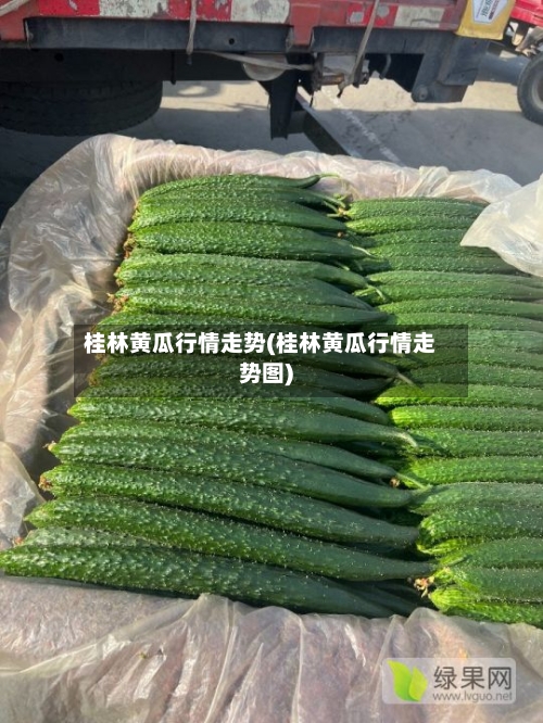 桂林黄瓜行情走势(桂林黄瓜行情走势图)