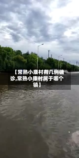 【常熟小康村有几例确诊,常熟小康村属于哪个镇】