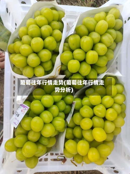 葡萄往年行情走势(葡萄往年行情走势分析)