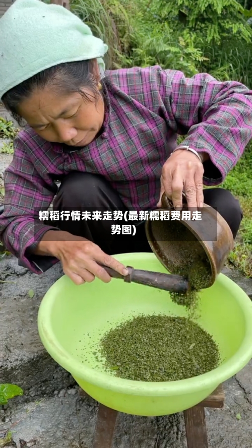 糯稻行情未来走势(最新糯稻费用走势图)-第2张图片