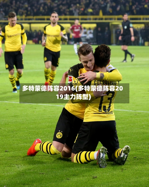 多特蒙德阵容2016(多特蒙德阵容2019主力阵型)
