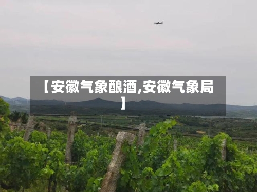 【安徽气象酿酒,安徽气象局】