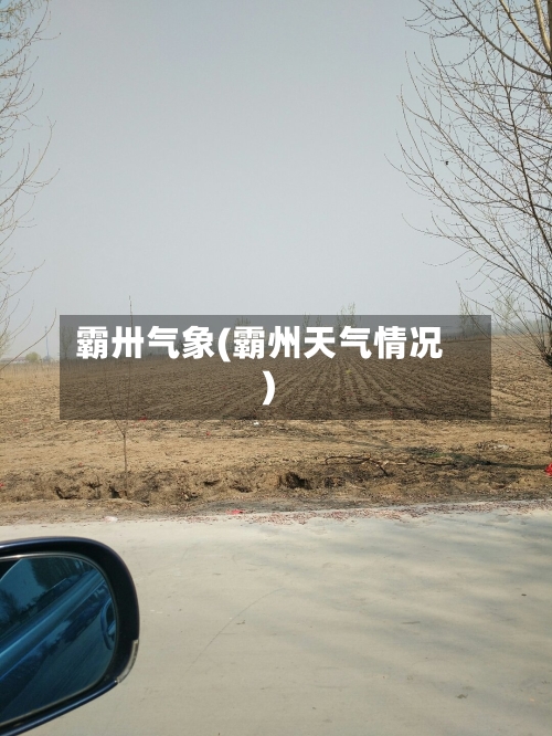 霸卅气象(霸州天气情况)