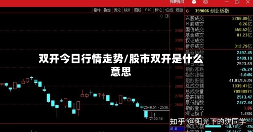 双开今日行情走势/股市双开是什么意思