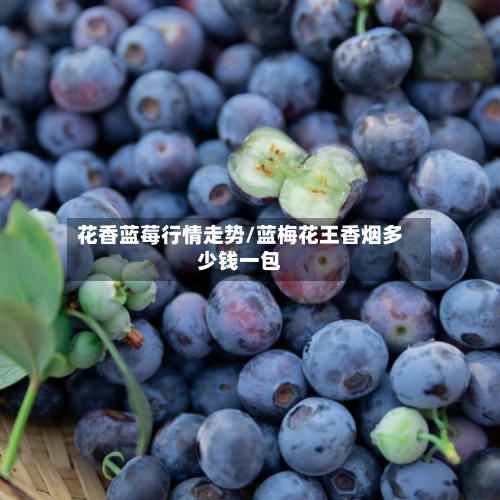 花香蓝莓行情走势/蓝梅花王香烟多少钱一包