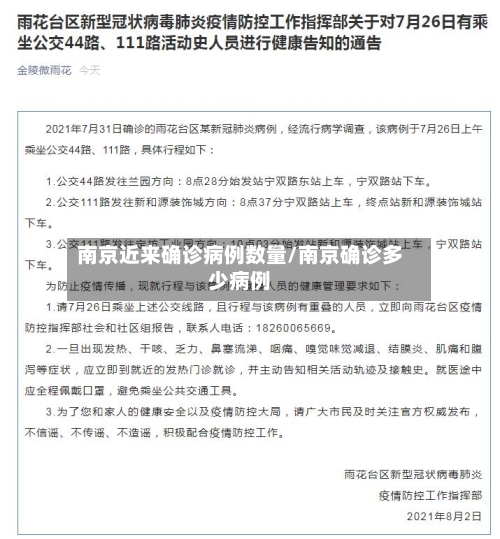 南京近来确诊病例数量/南京确诊多少病例-第3张图片