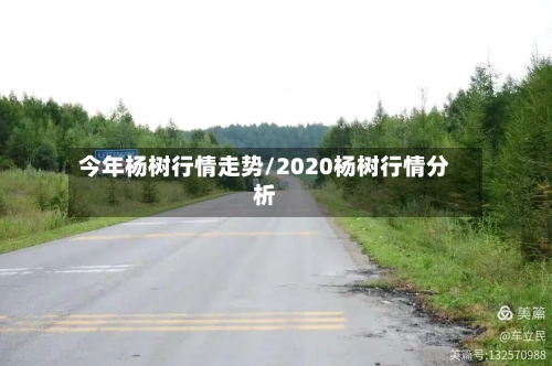 今年杨树行情走势/2020杨树行情分析