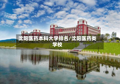 沈阳医药本科大学排名/沈阳医药类学校