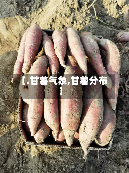 【.甘薯气象,甘薯分布】
