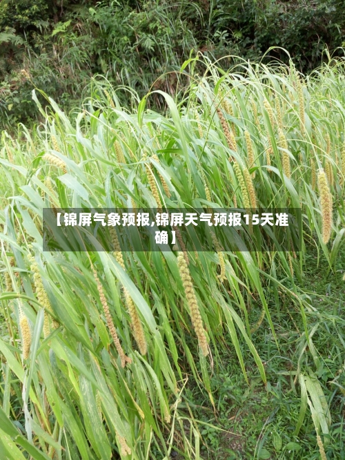 【锦屏气象预报,锦屏天气预报15天准确】