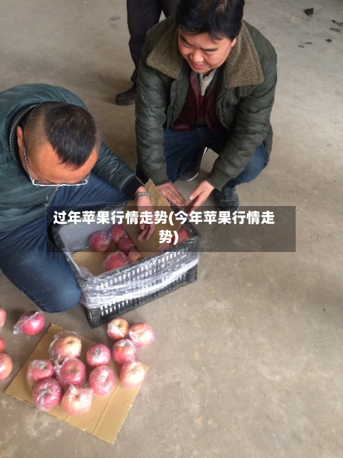 过年苹果行情走势(今年苹果行情走势)