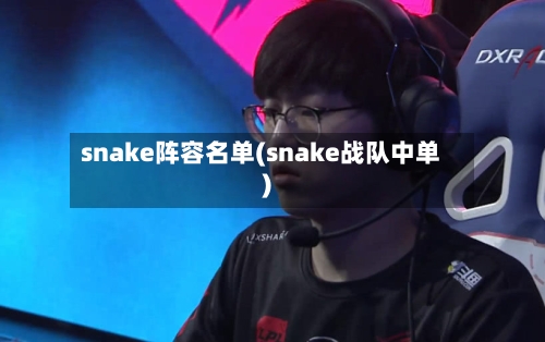 snake阵容名单(snake战队中单)