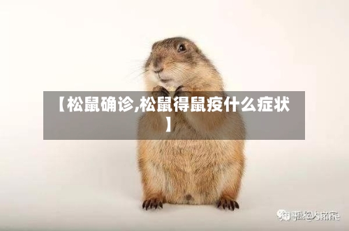 【松鼠确诊,松鼠得鼠疫什么症状】