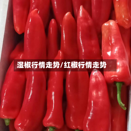 湿椒行情走势/红椒行情走势