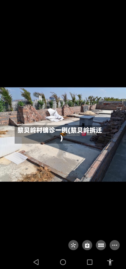 黎贝岭村确诊一例(黎贝岭拆迁)-第3张图片