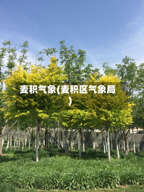 麦积气象(麦积区气象局)