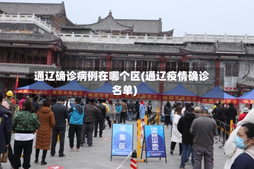 通辽确诊病例在哪个区(通辽疫情确诊名单)